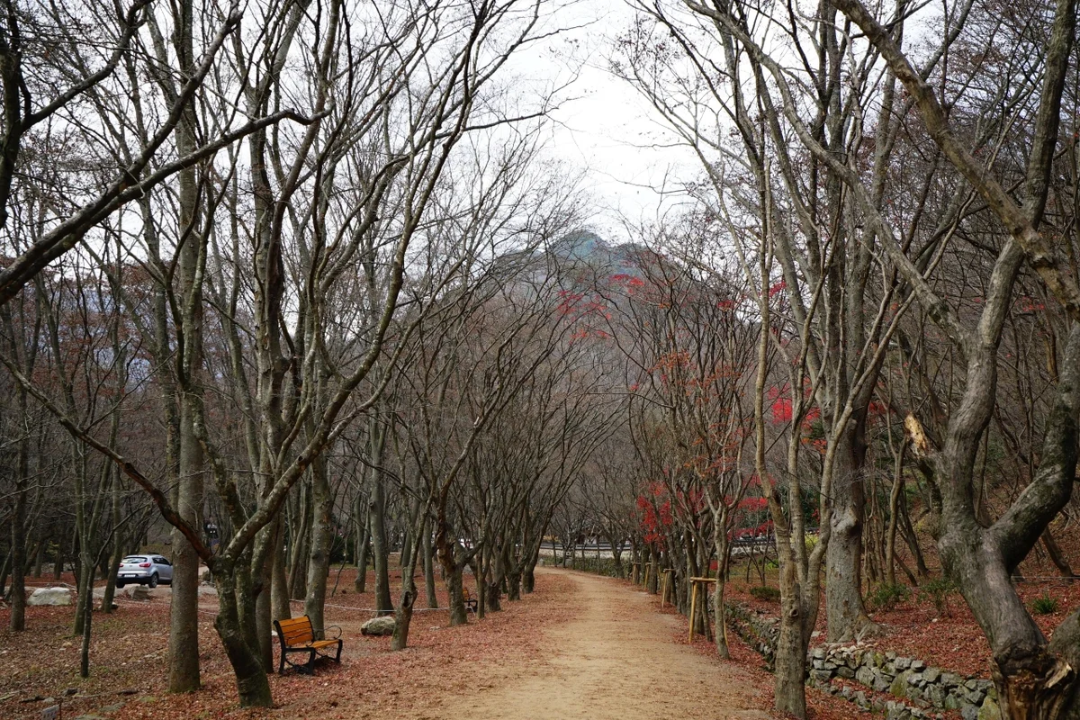 내장산 국립공원케이블카 - 내장산 여행