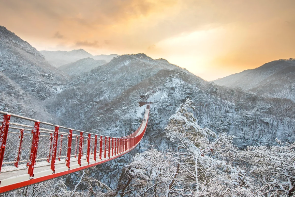 서대문구 겨울 가볼만한곳 서대문 자연사박물관 - 서대문구여행 여행