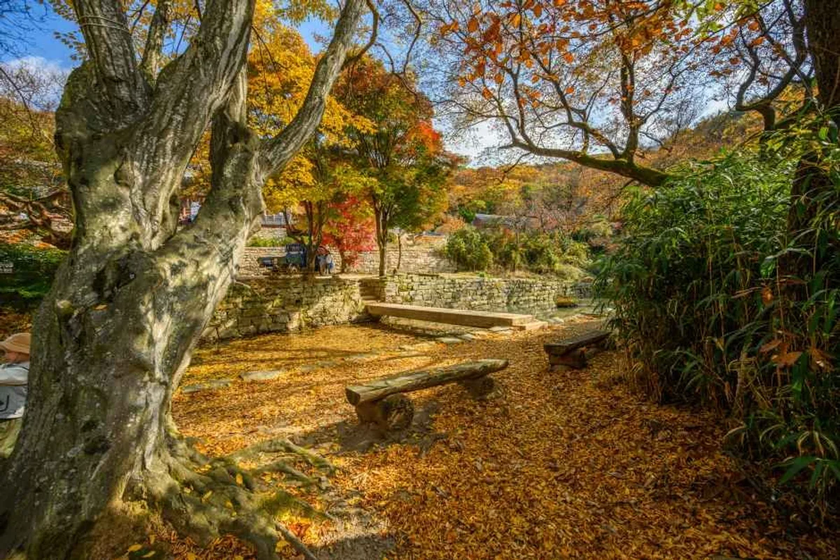 서산휴암리선사유적지 - 서산여행 여행