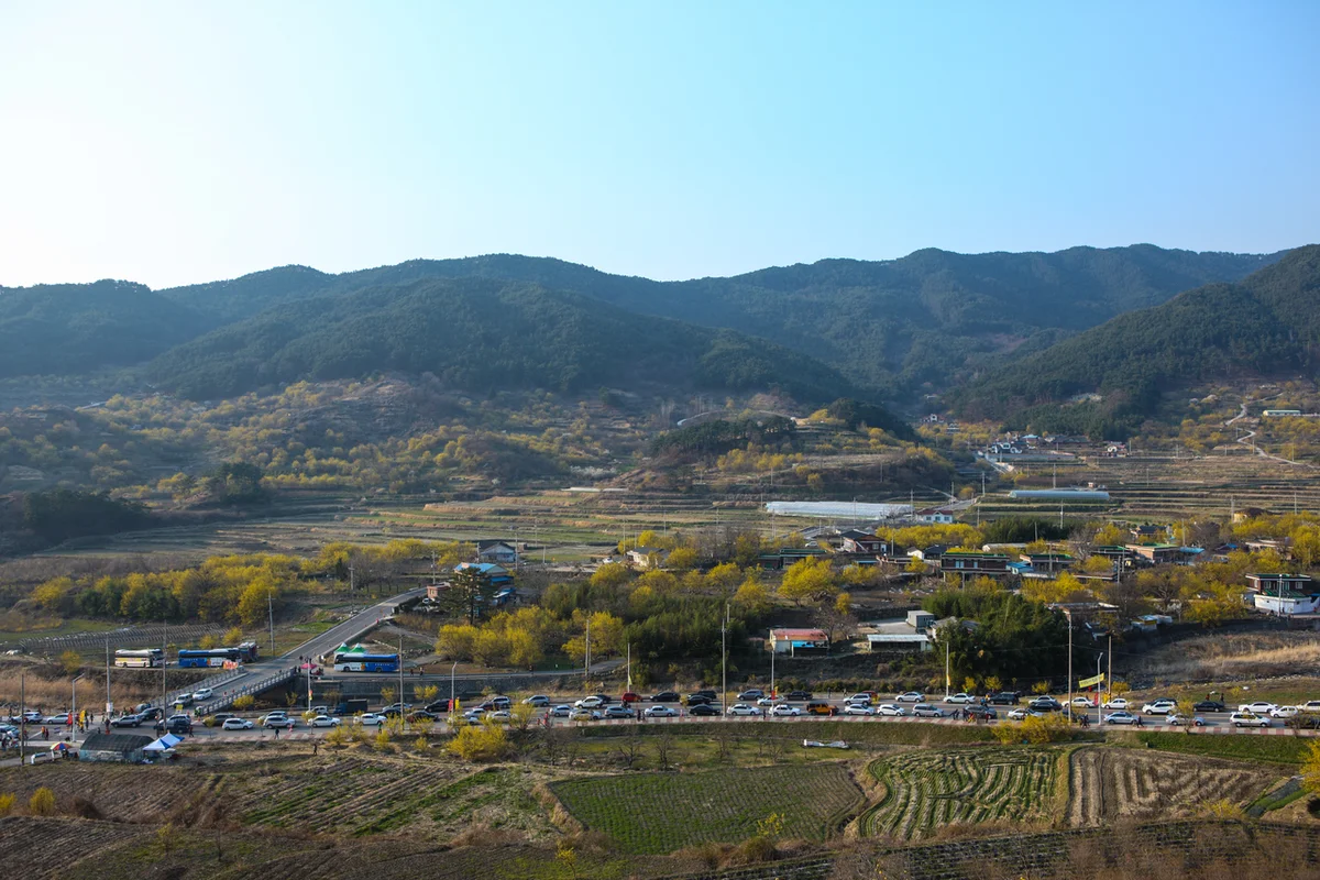 구례산수유마을 - 구례 여행