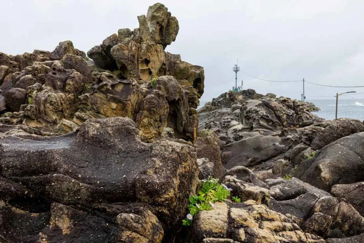 고성통일전망타워 - 고성군 여행