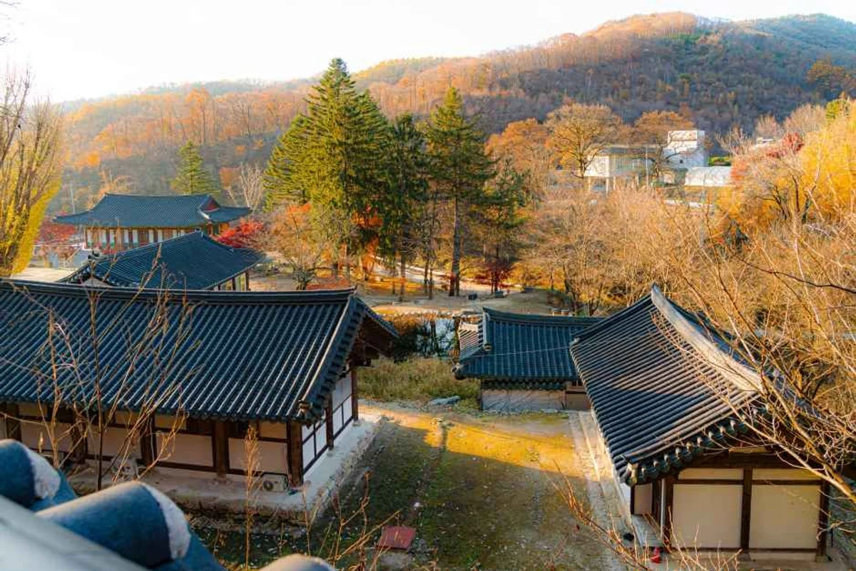 산들소리 - 남양주벚꽃 여행