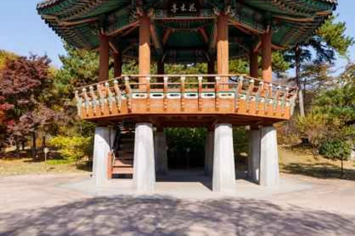 맹방 유채꽃 마을 - 삼척여행 여행