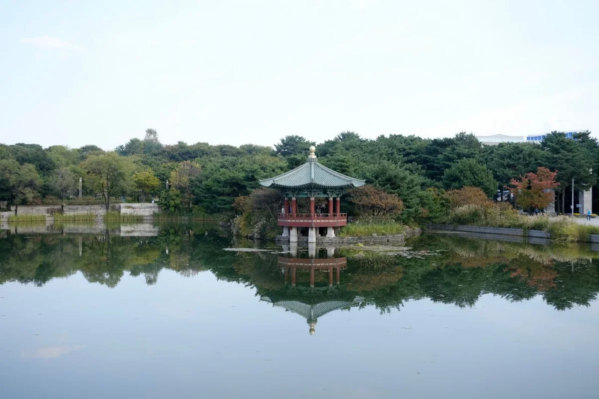 2026년 봄, 용산 체험의 시작: 용산 어린이정원 - 용산 여행