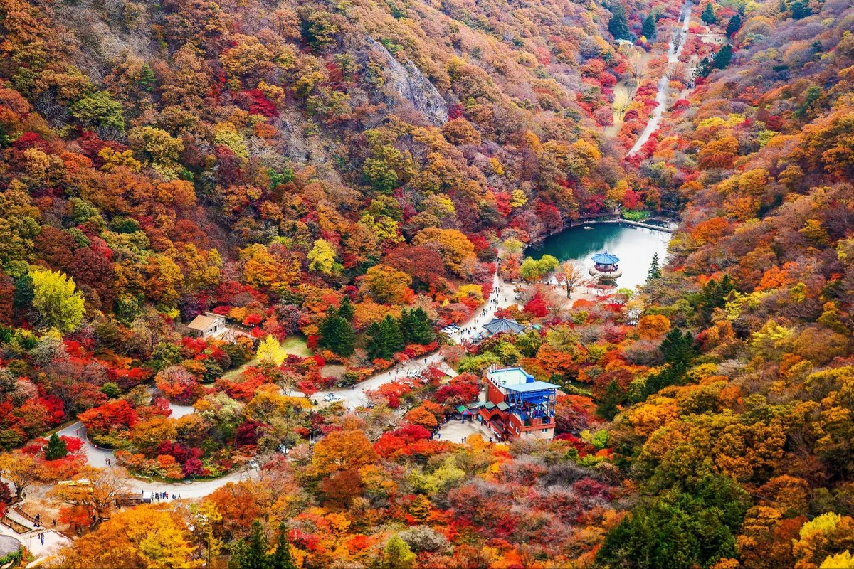 우화정(내장산) - 내장산 여행