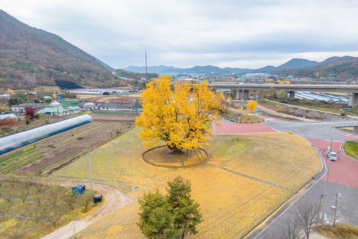 금산천 - 금산군 여행