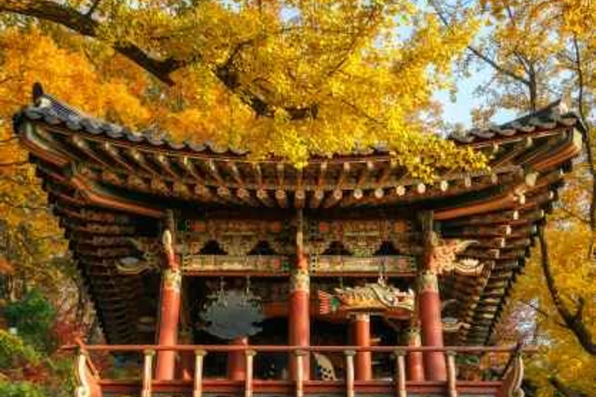 충주미륵대원지 - 수안보 여행