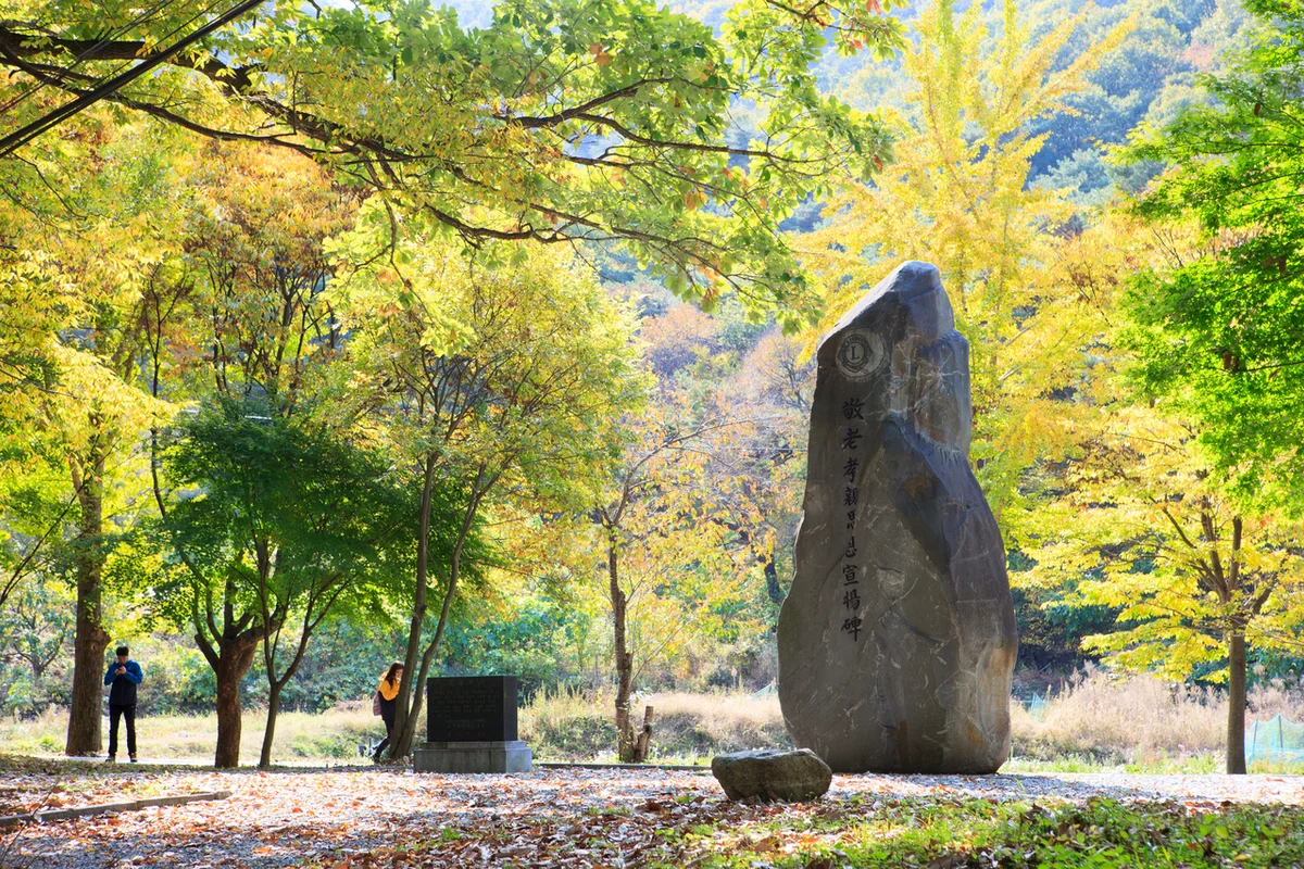 달맞이근린공원 - 성동구등산 여행