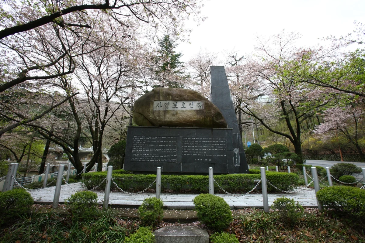 앞산공원전망대 - 대구 여행
