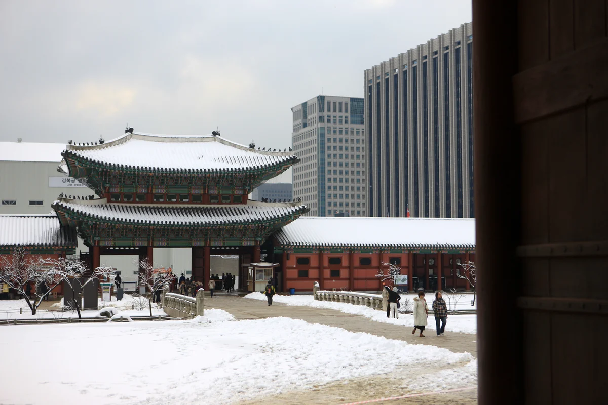 안양천로 가을단풍길 - 금천 단풍 여행