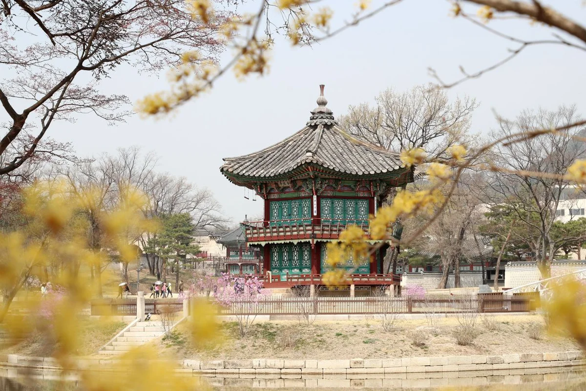 수유 스노클링: 오패산 - 수유여행 여행
