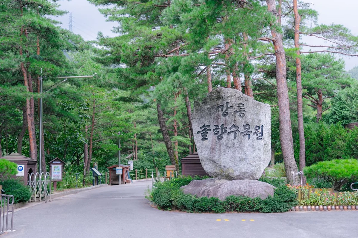 송지호밀리터리체험장 - 강원도 여행 여행