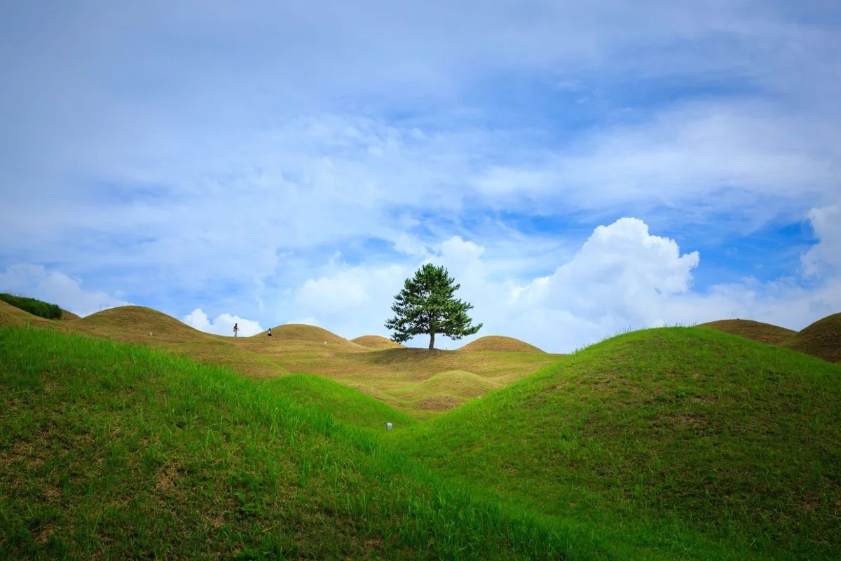 2026 동구 단체 여행, 놓칠 수 없는 매력 - 인천동구 여행
