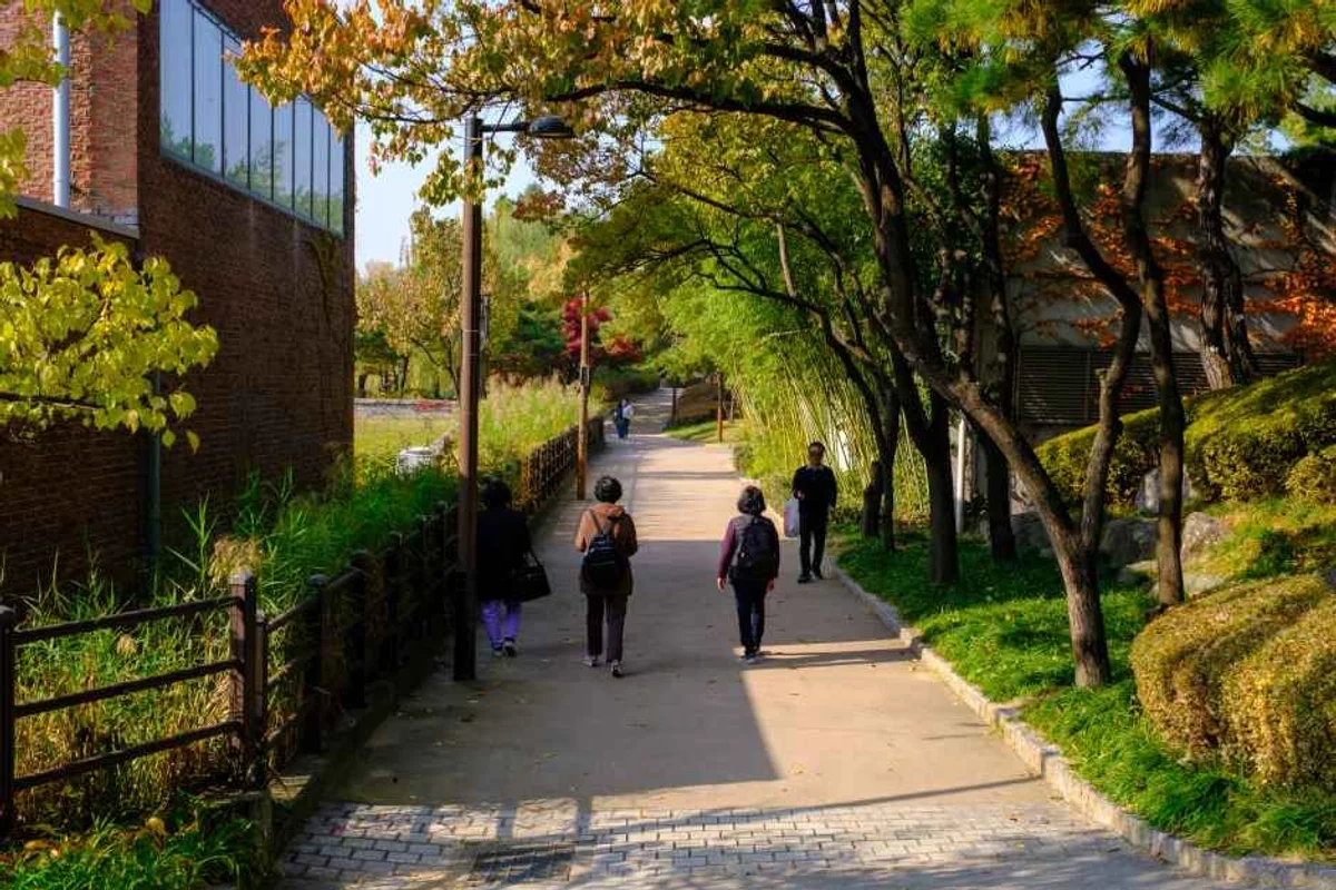 여의도 이크루즈 - 영등포구 여행