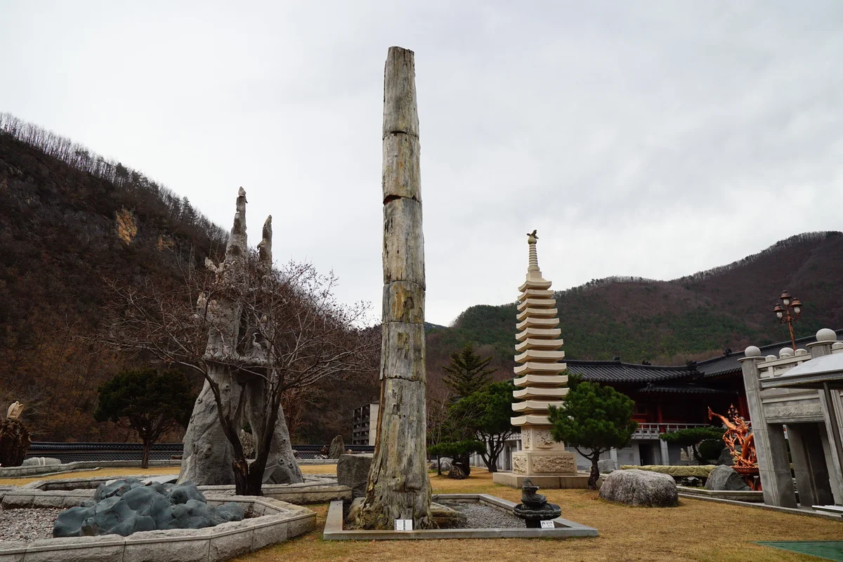 삼척해수욕장 - 삼척시 여행
