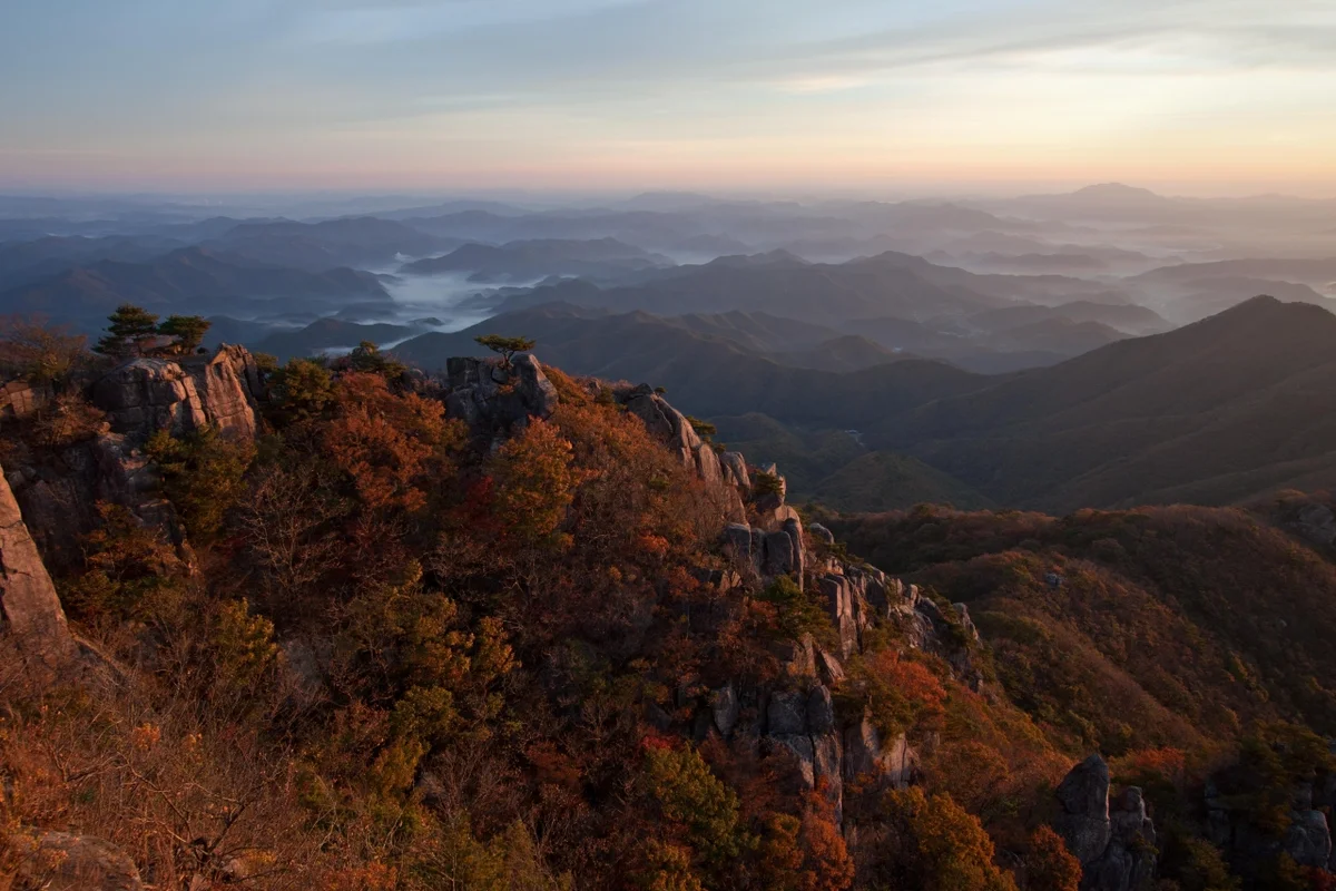 둔산 산책로 - 대전여행 여행