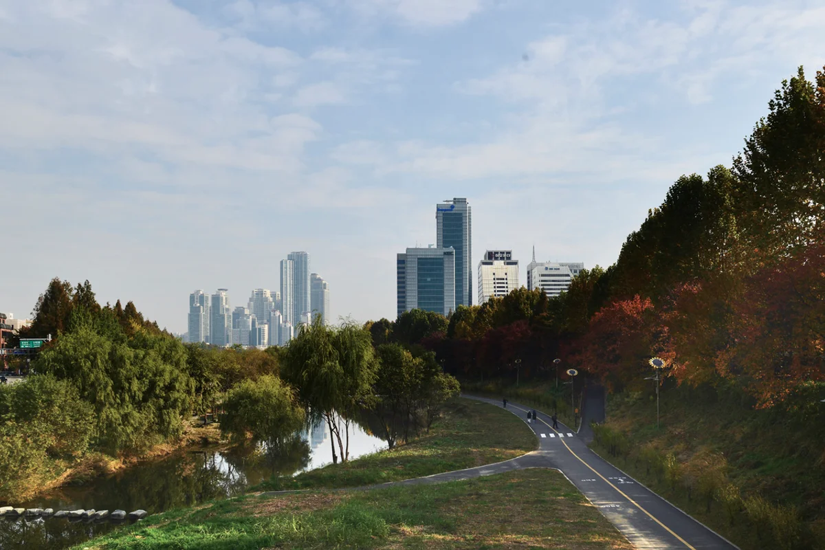 양재천: 강남 장미축제 기다리며 걷기 좋은 곳 - 강남여행 여행