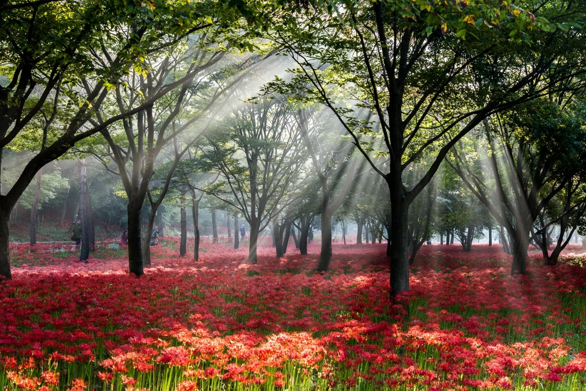 곡성 심청한옥마을 - 전남여행 여행