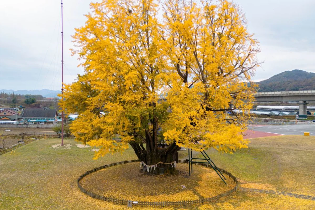 대둔산캠핑랜드 - 금산군 여행