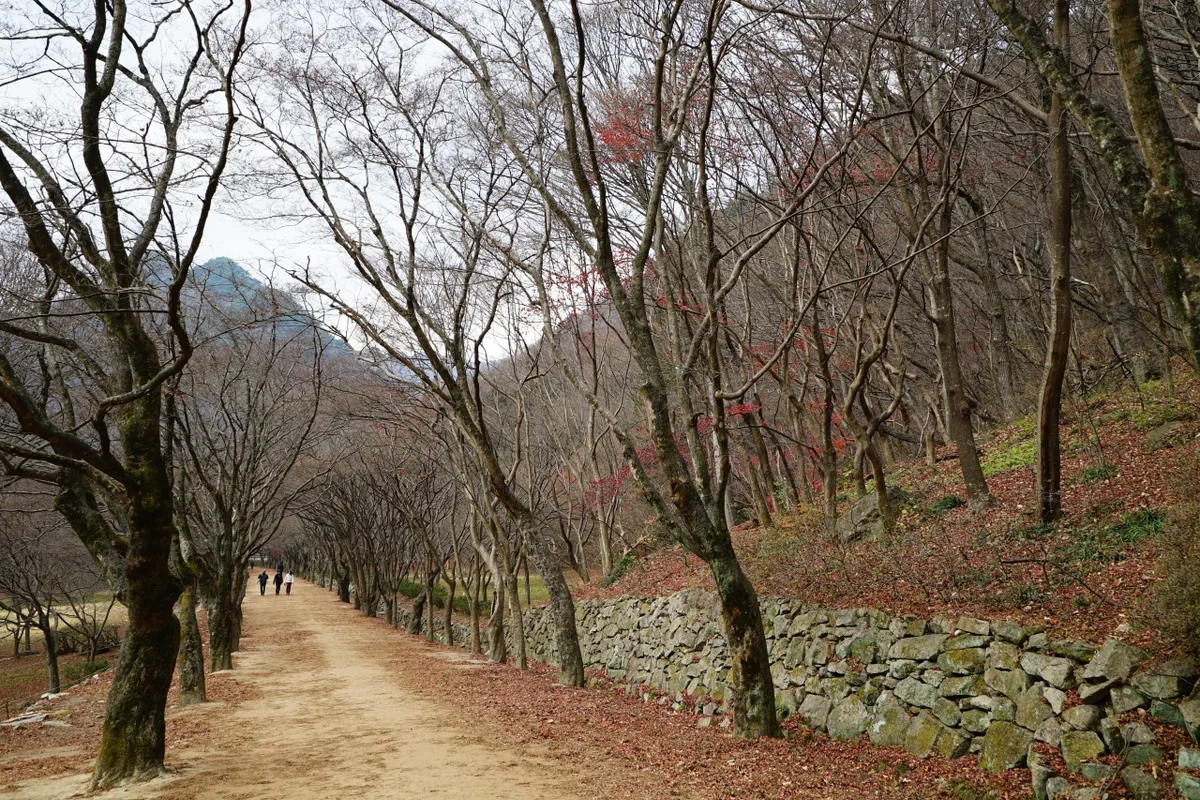 허수아비농장 정읍 체험 - 정읍여행 여행