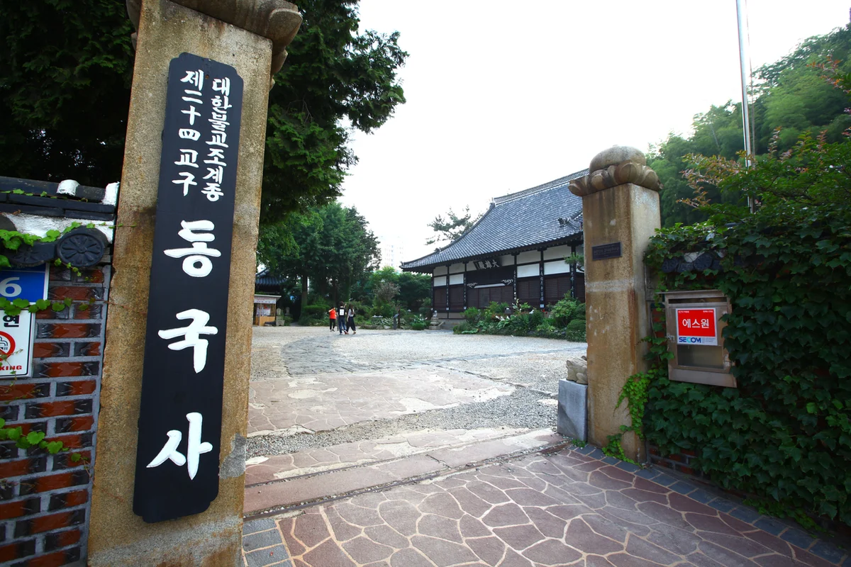 구례 지리산 패러글라이딩 - 국내여행 여행