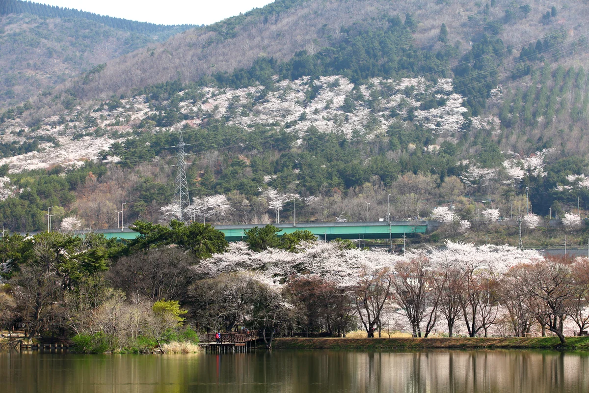 창원 명동 마리나 - 창원 여행