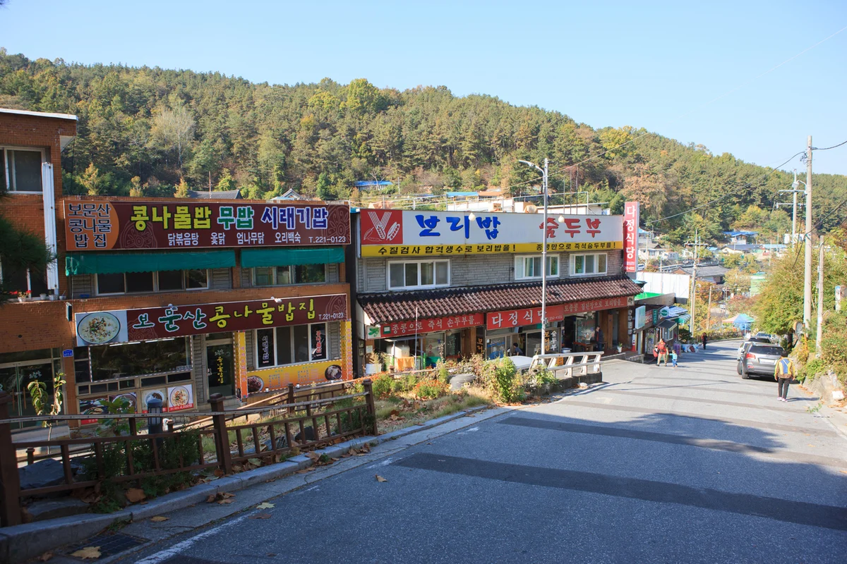 사정골식물원 - 대전 여행 여행