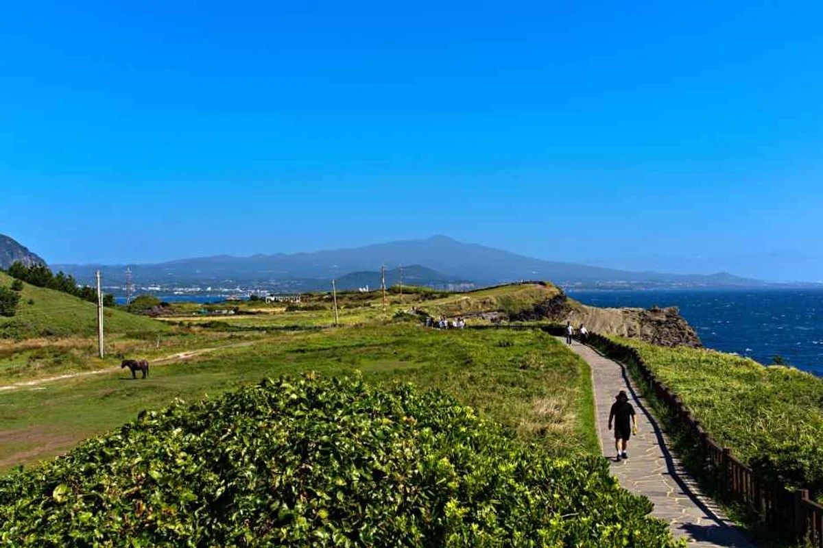 한라산, 제주도 지형의 시작 - 제주도 지형 여행