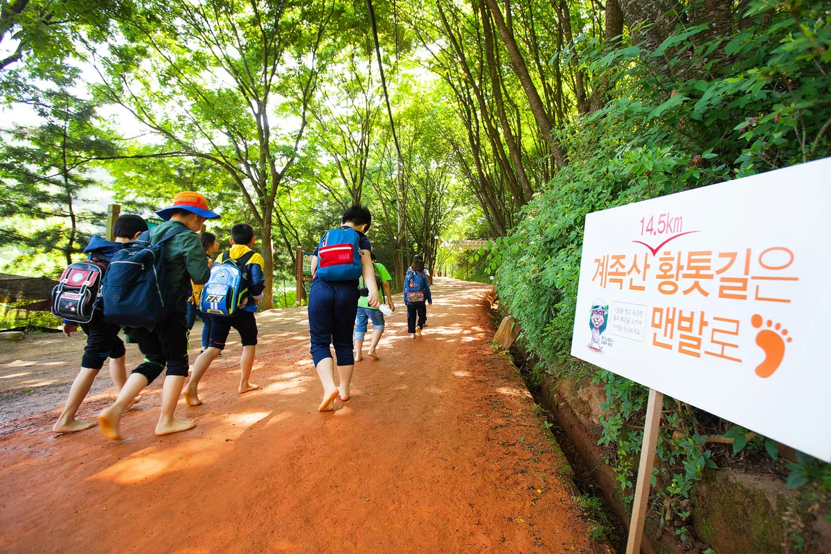 팔괴2리마을체험관 - 영월 여행 여행