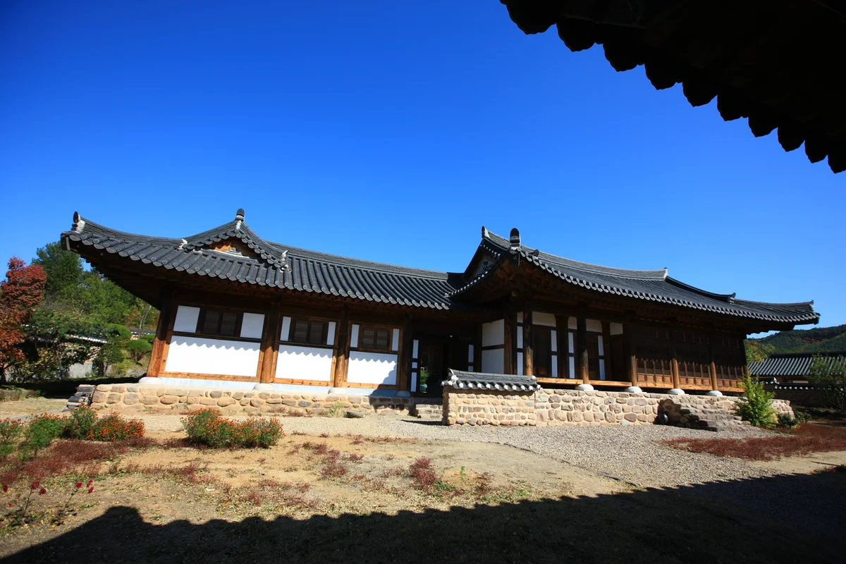 황룡친수공원 - 광산벚꽃 여행
