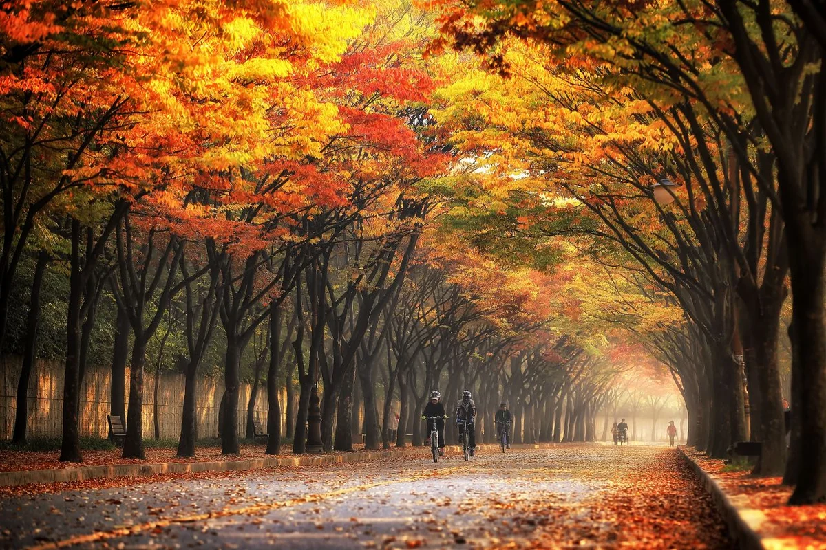 9월 인천 추석 가볼만한곳 에디터스 픽 - 인천여행 여행
