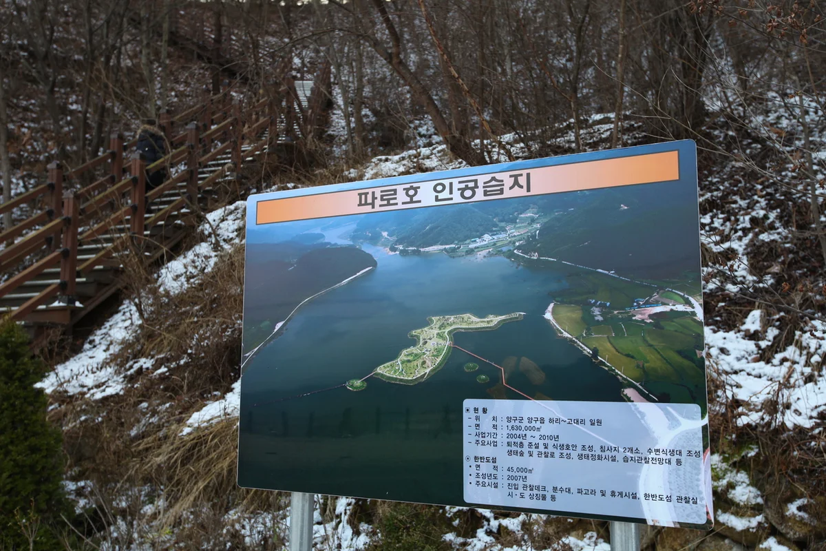 2026년 양구 여름 가볼만한곳, 시원하게 즐기는 방법 - 양구여행 여행