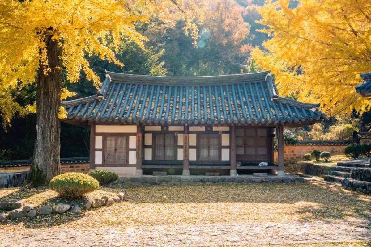 리틀포레스트 - 함안군 여행