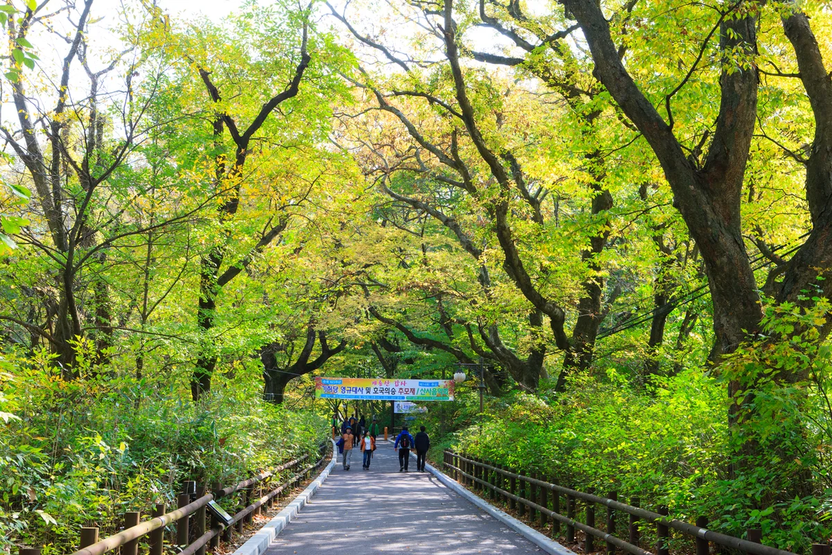 금호산 - 성동구등산 여행