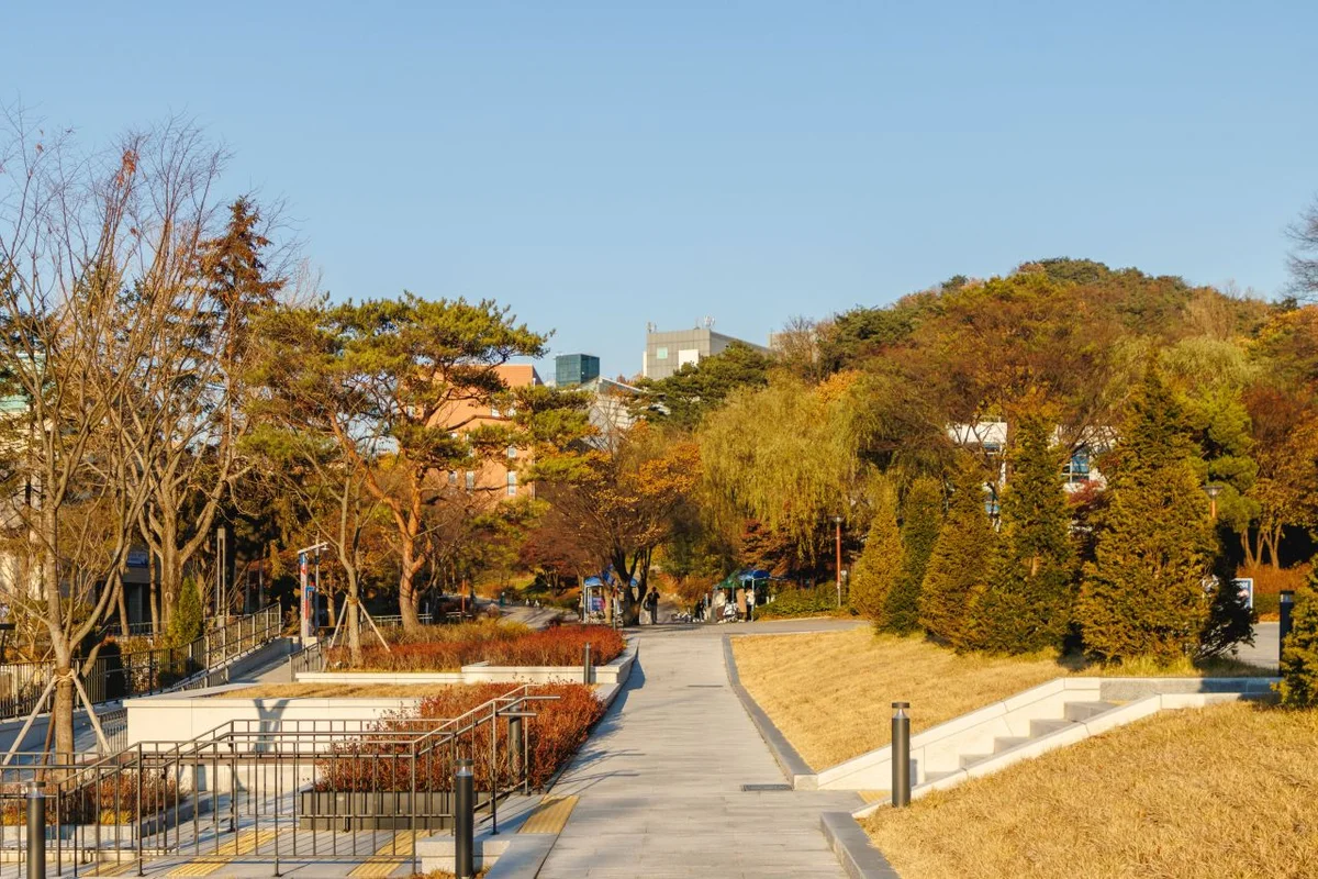 관악 눈썰매장: 겨울의 추억과 다음 시즌을 기다리며 - 관악여행 여행