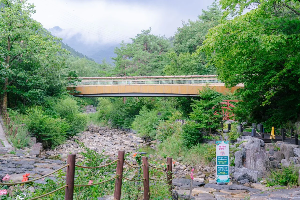 8월 중 가볼만한곳: 여름밤의 낭만, 제주도 별빛축제 야간개장 - 8월 여행 여행