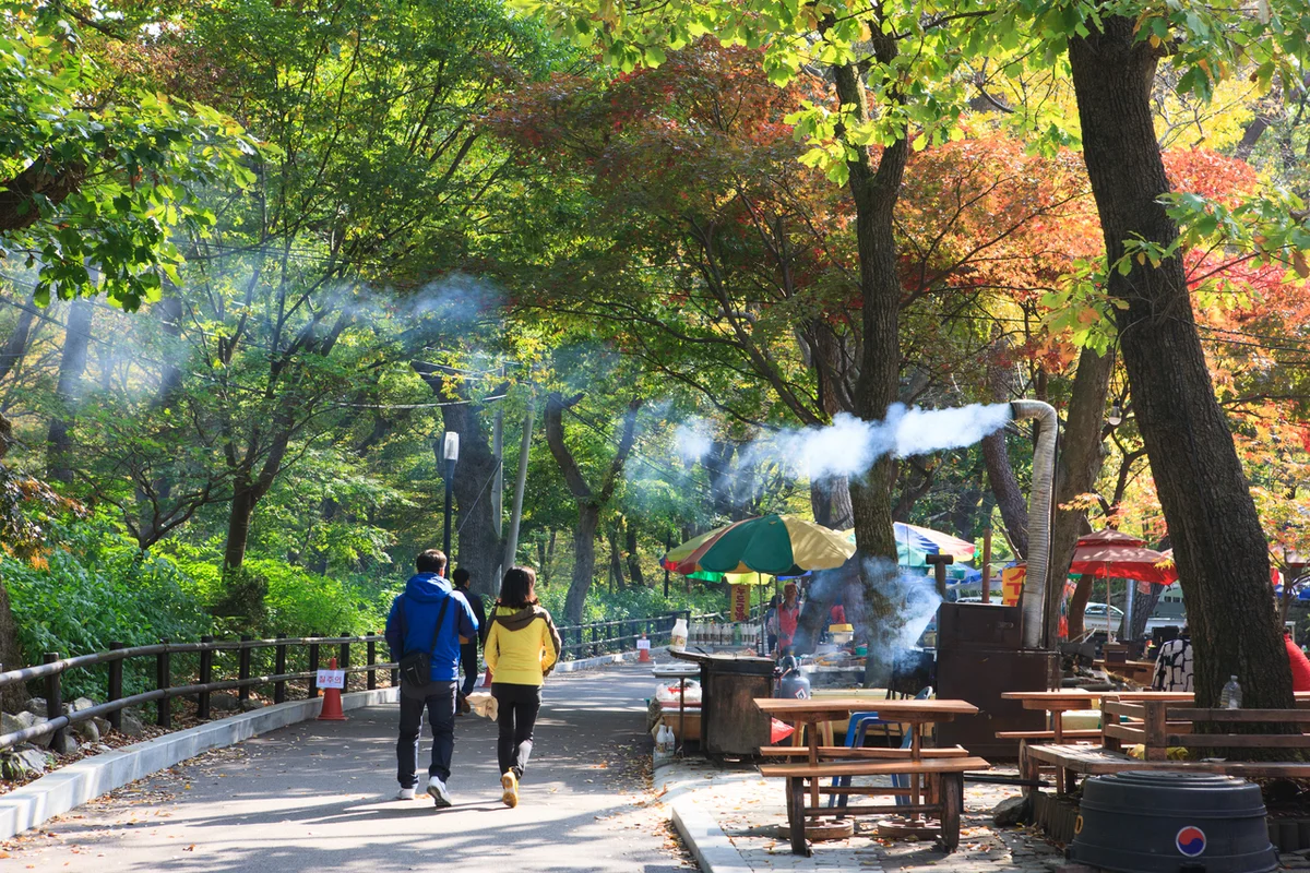 인릉산 - 서초등산 여행