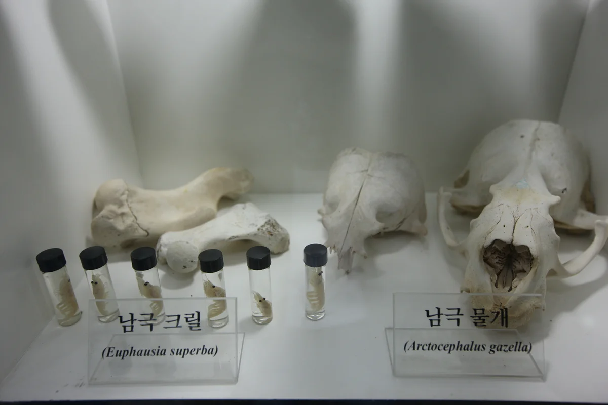 현대프리미엄아울렛 송도점 - 송도 여행