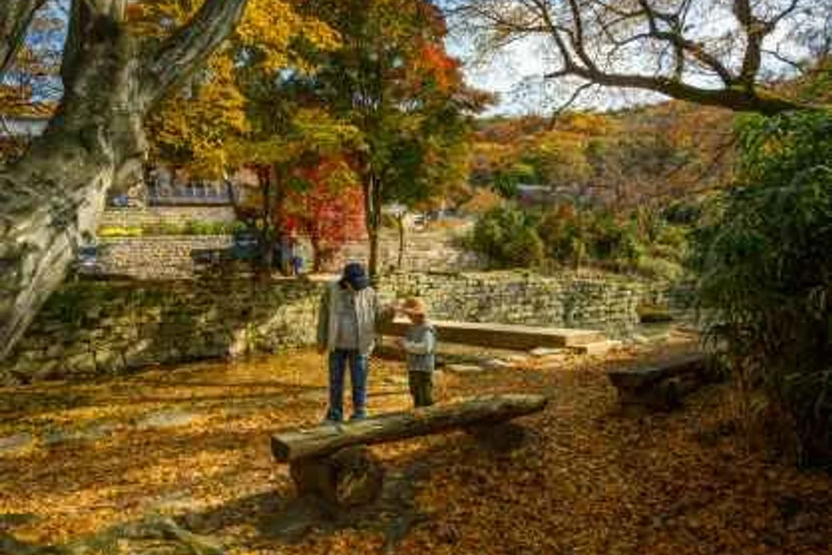 서산 유적지, 찬란한 역사의 흔적을 품은 보원사지 - 서산여행 여행