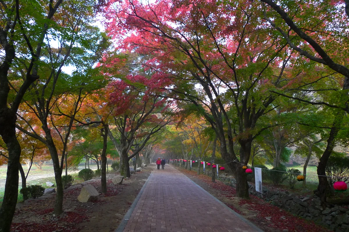 내장사 - 내장산 여행