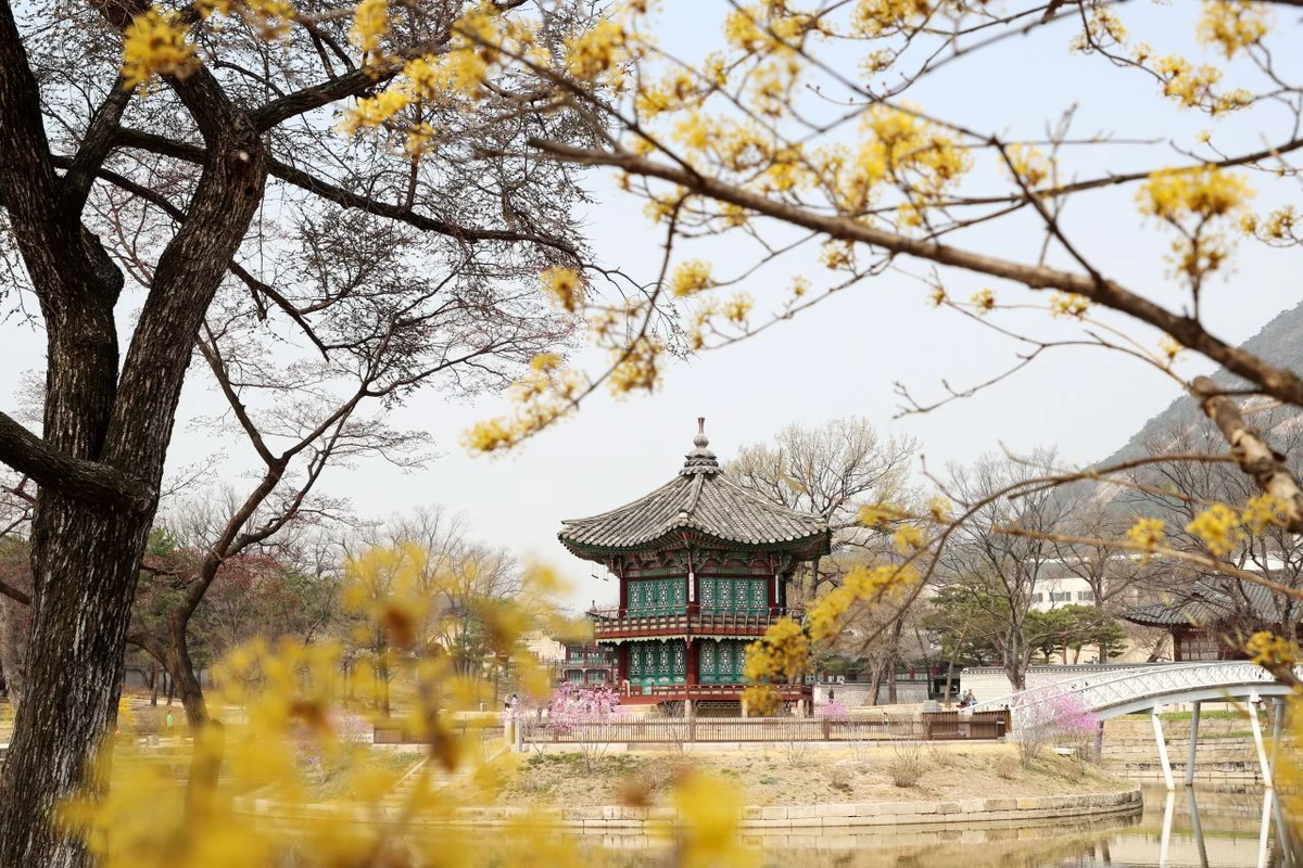 롯데시네마 수유 - 수유 여행