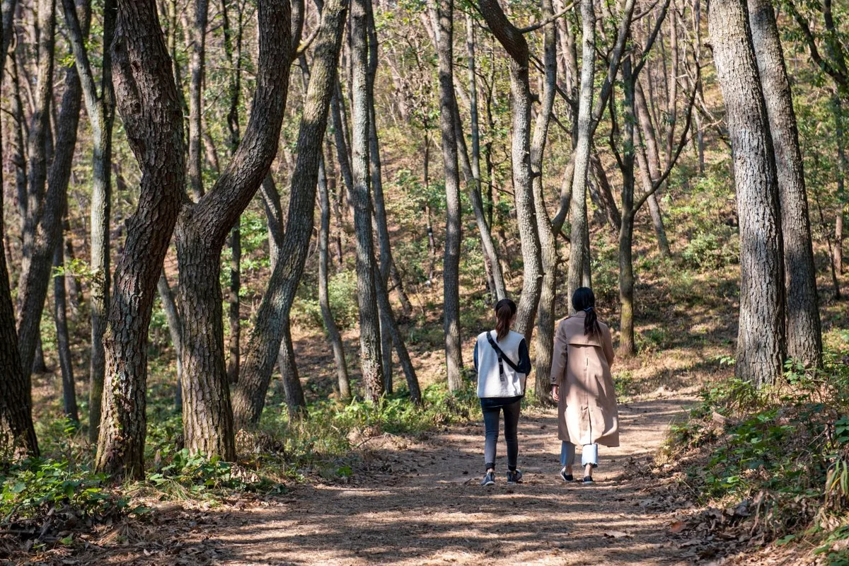 스포원파크 금정체육공원 - 금정구 여행