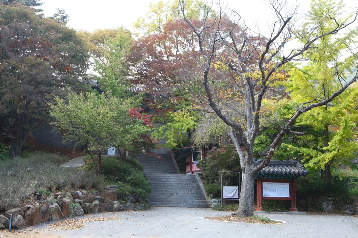 강화도 은행나무 명소, 전등사 - 강화도여행 여행