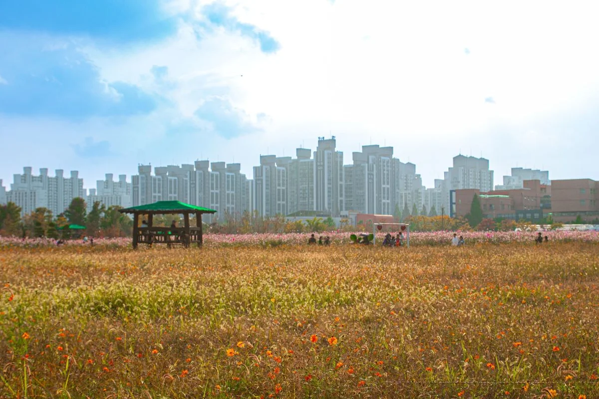 아라마루 - 계양 여행