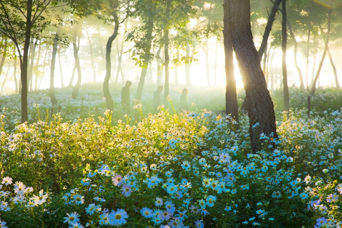 정읍사공원 유아숲체험원 - 정읍여행 여행