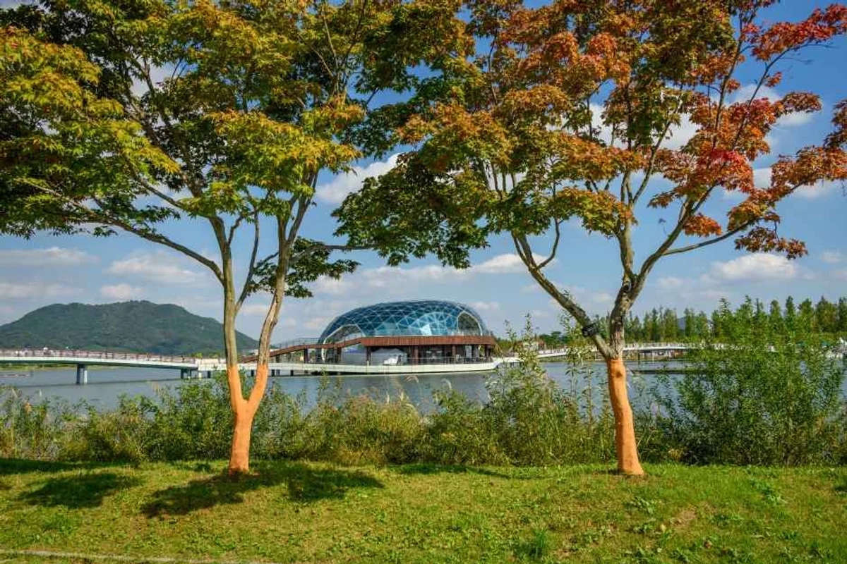 속초중앙시장 공연 무대와 청초호 호수공원 - 속초여행 여행