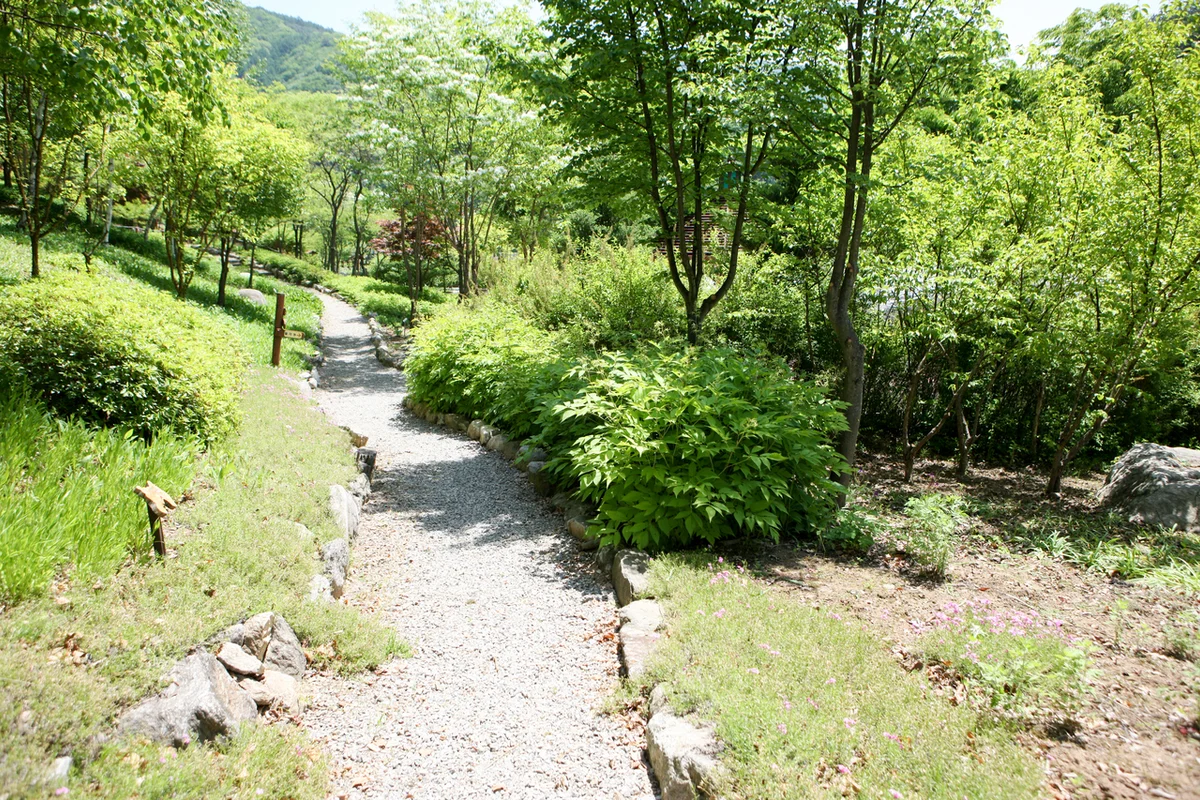 경기도잣향기푸른숲 - 가평여행 여행