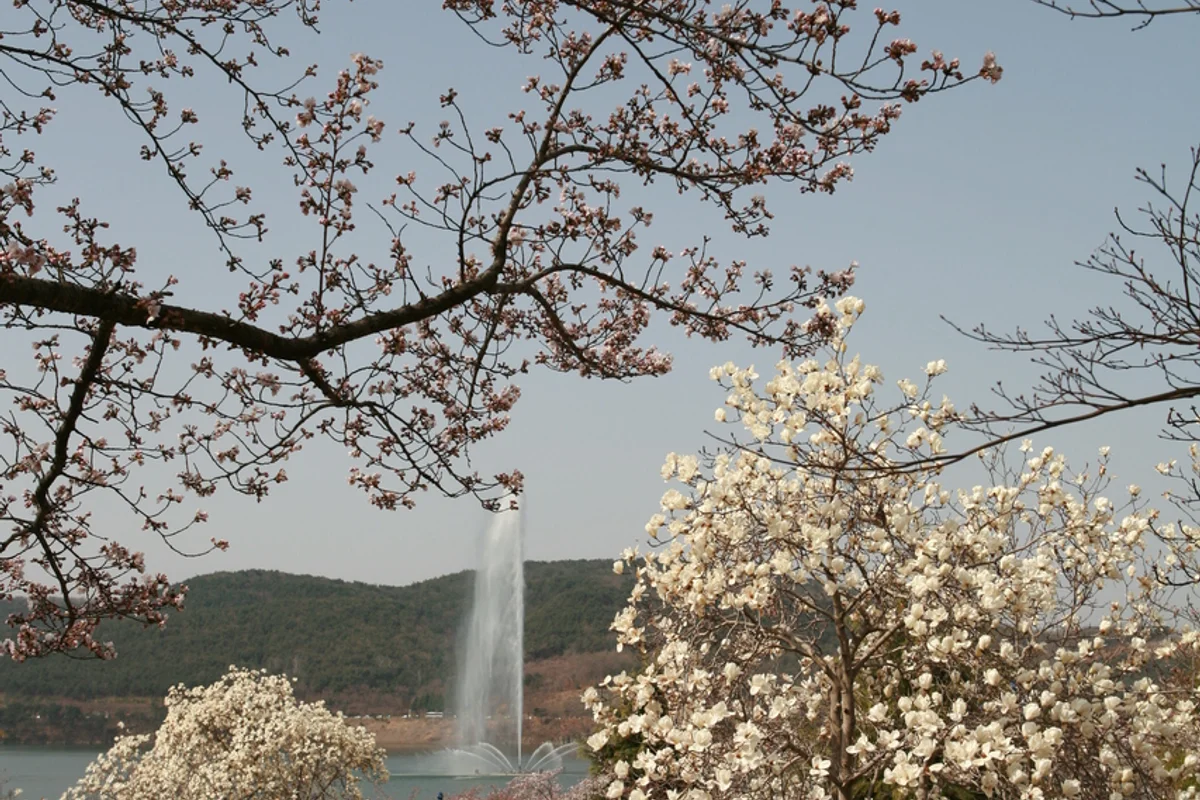 보문관광단지 (경주보문단지 야경 명소) - 경주 여행 여행